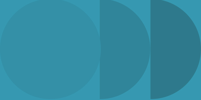 widget image